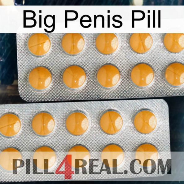 Big Penis Pill levitra2.jpg